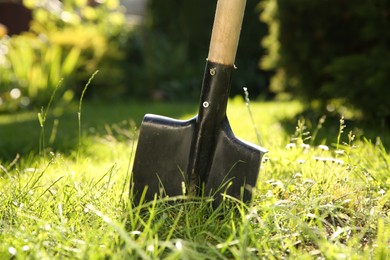 One shovel sticking out of ground on sunny day. Gardening tool