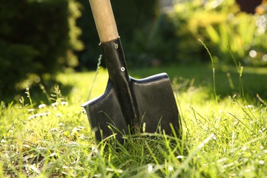 Photo of One shovel sticking out of ground on sunny day. Gardening tool