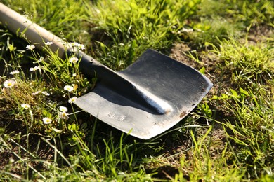 Photo of One shovel on green grass, closeup. Gardening tool