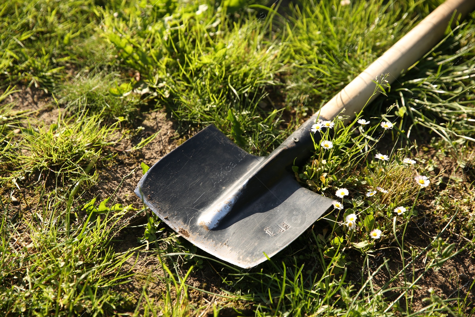 Photo of One shovel on green grass. Gardening tool