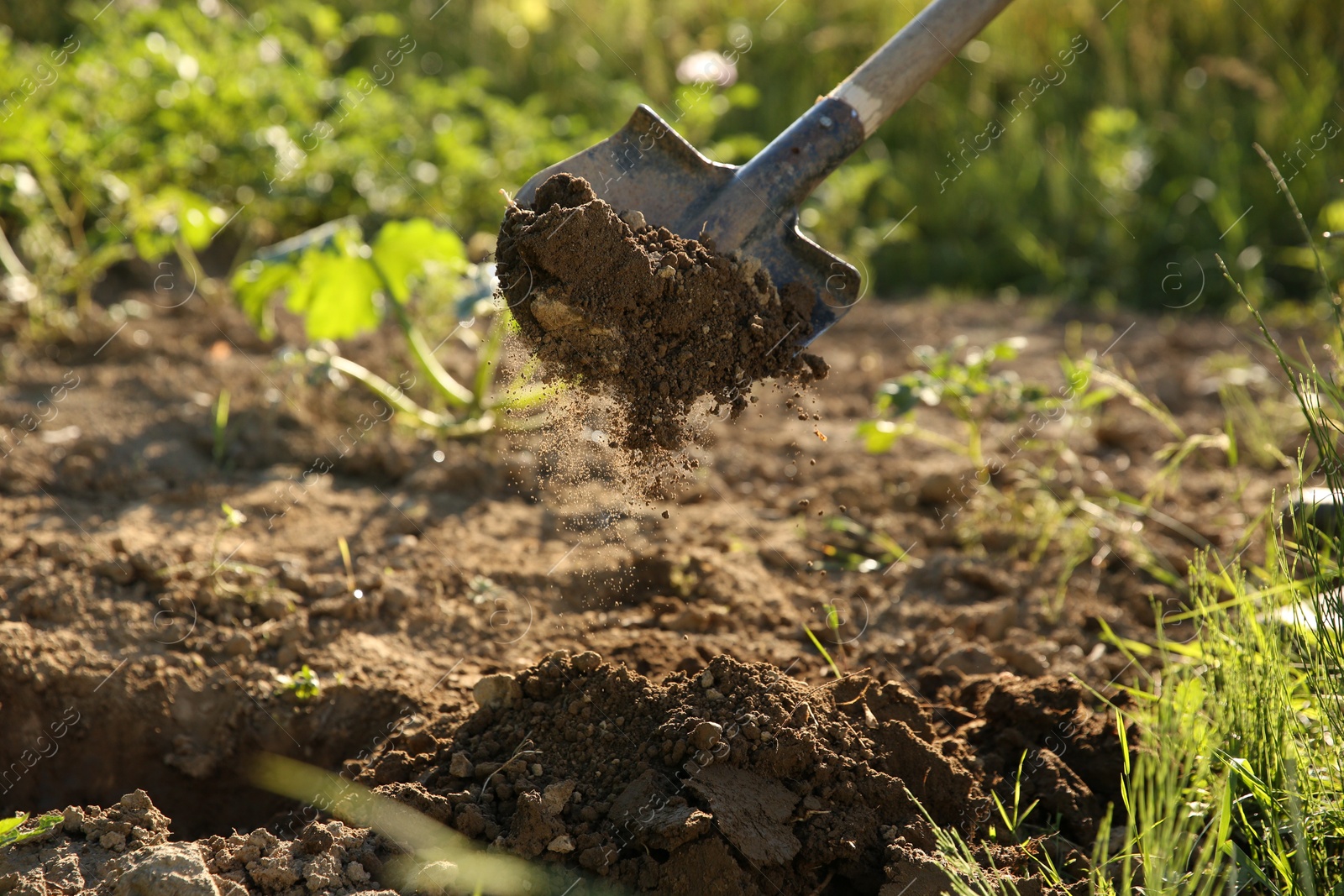 Photo of Digging soil with shovel on sunny day, closeup