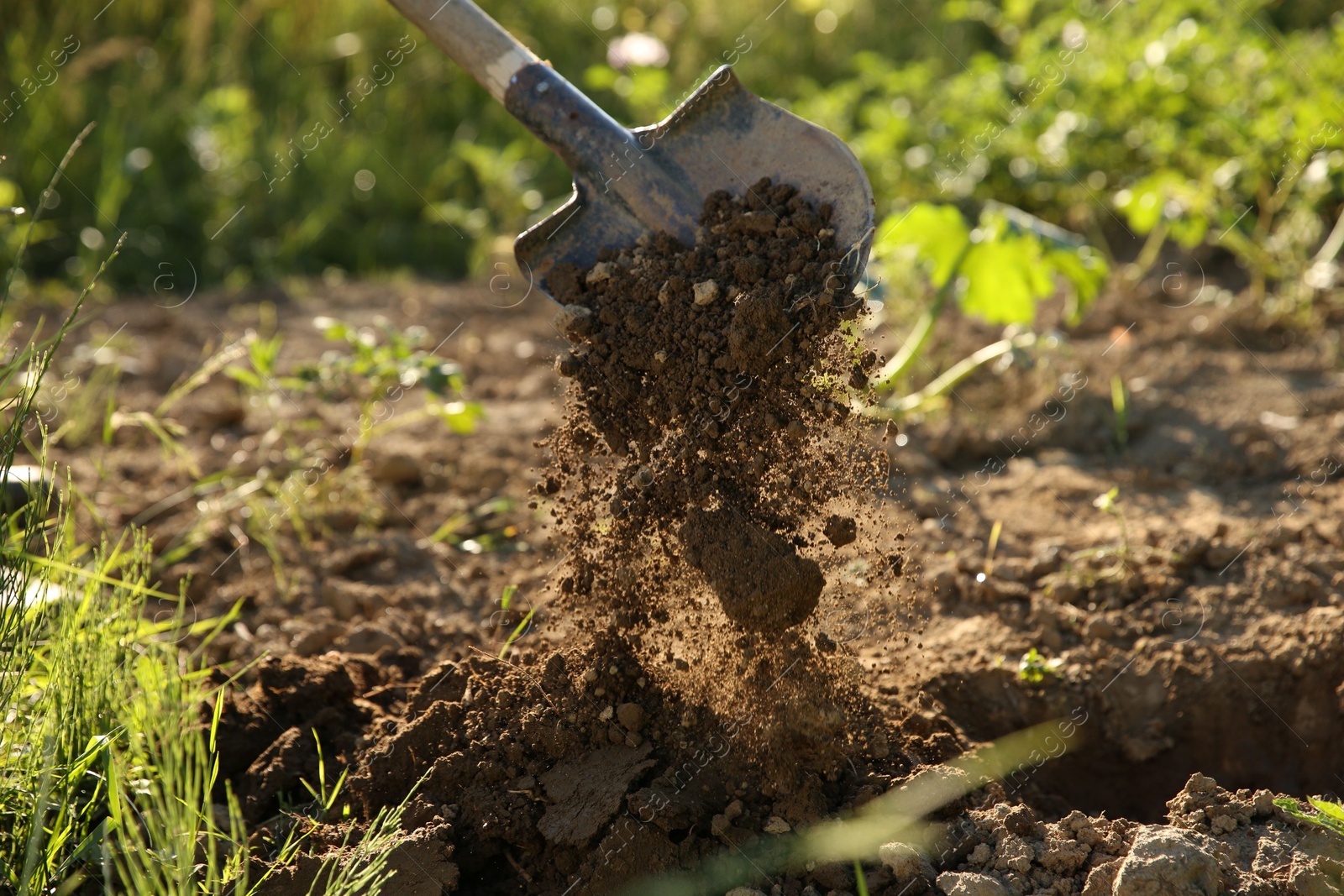 Photo of Digging soil with shovel on sunny day, closeup