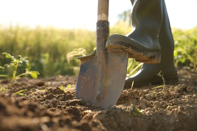 Photo of Farmer digging soil with shovel on sunny day, closeup