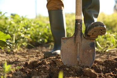 Farmer digging soil with shovel on sunny day, closeup. Space for text