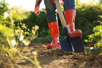 Farmer digging soil with shovel on sunny day, closeup