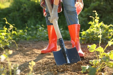 Photo of Farmer digging soil with shovel on sunny day, closeup. Space for text
