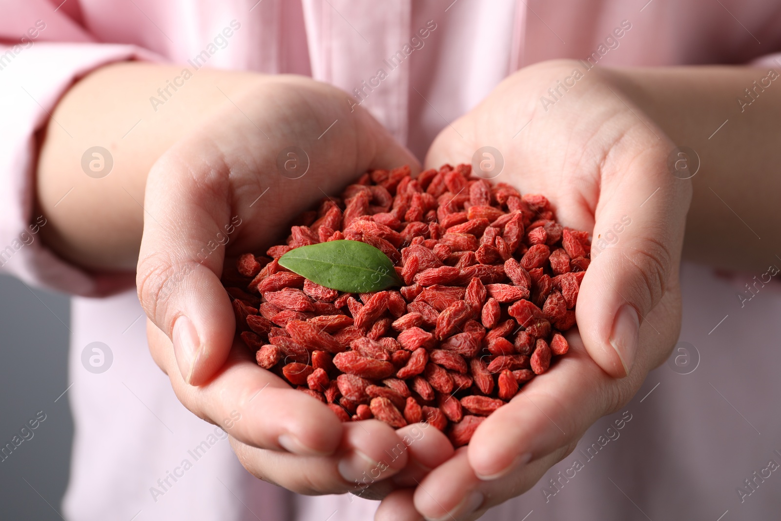 Photo of Woman holding pile of dried goji berries, closeup