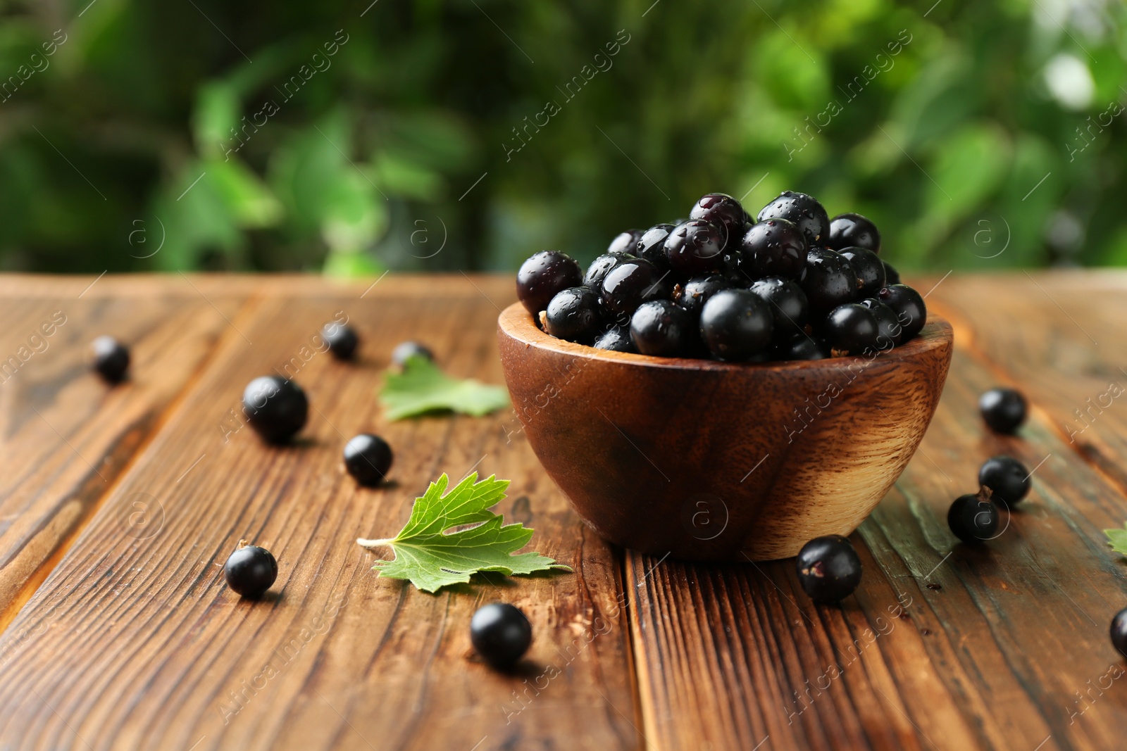 Photo of Ripe black currants and leaves in bowl on wooden table, space for text