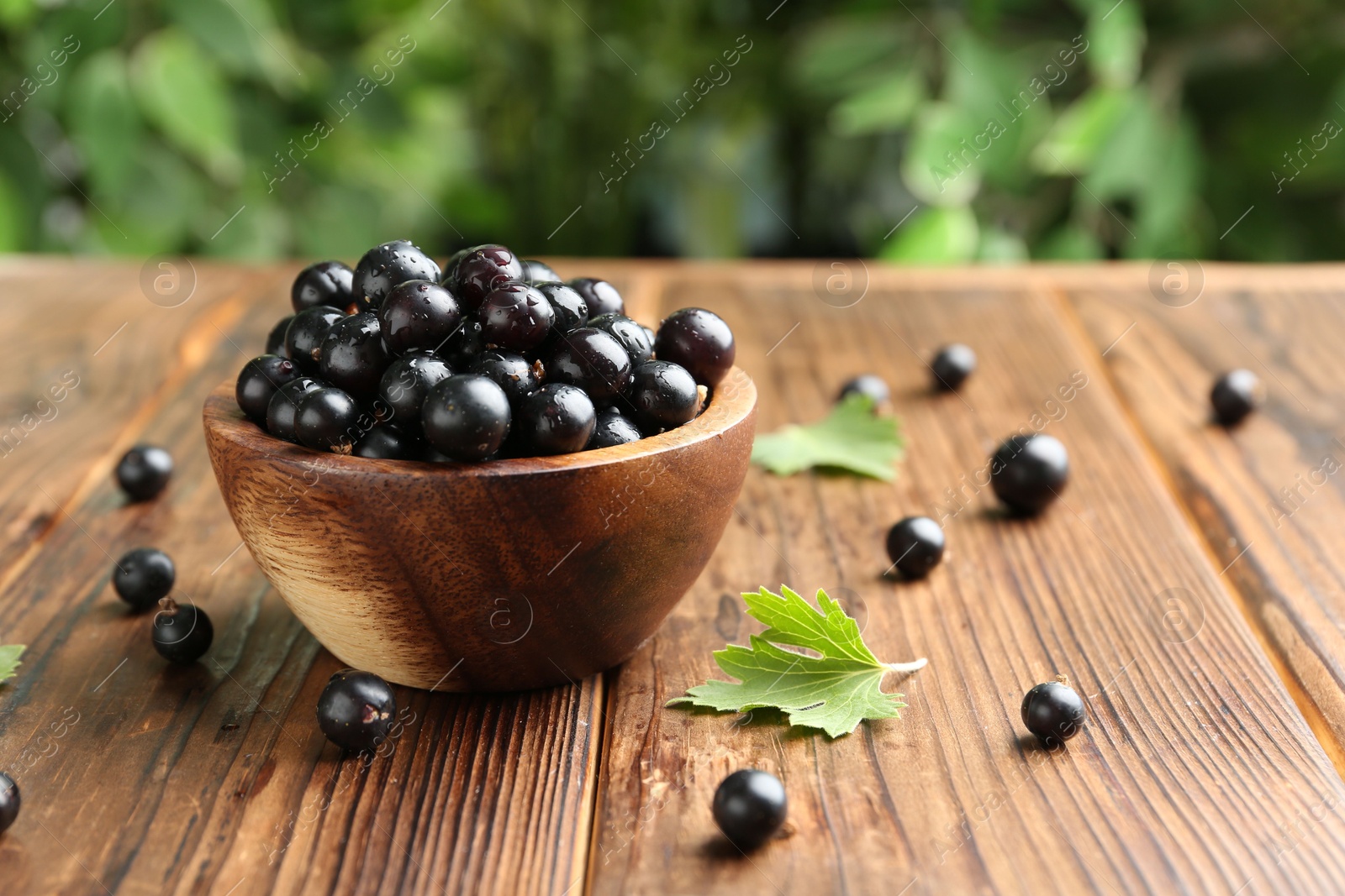 Photo of Ripe black currants and leaves in bowl on wooden table, space for text