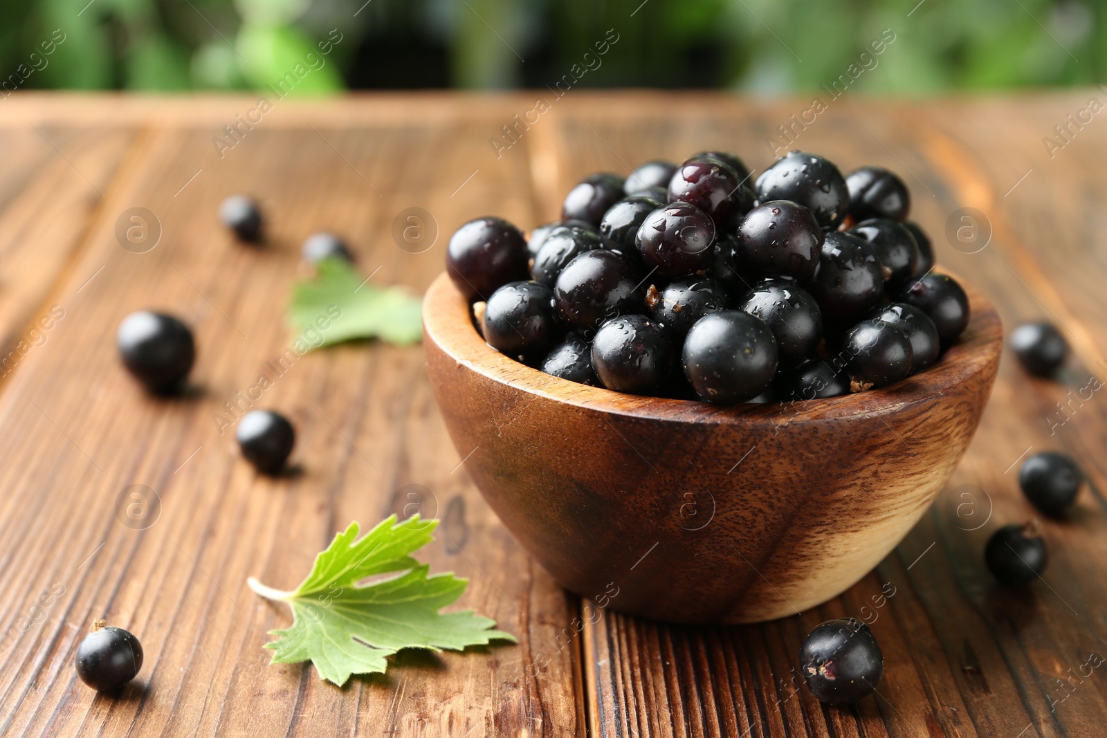 Photo of Ripe black currants and leaves in bowl on wooden table, closeup. Space for text