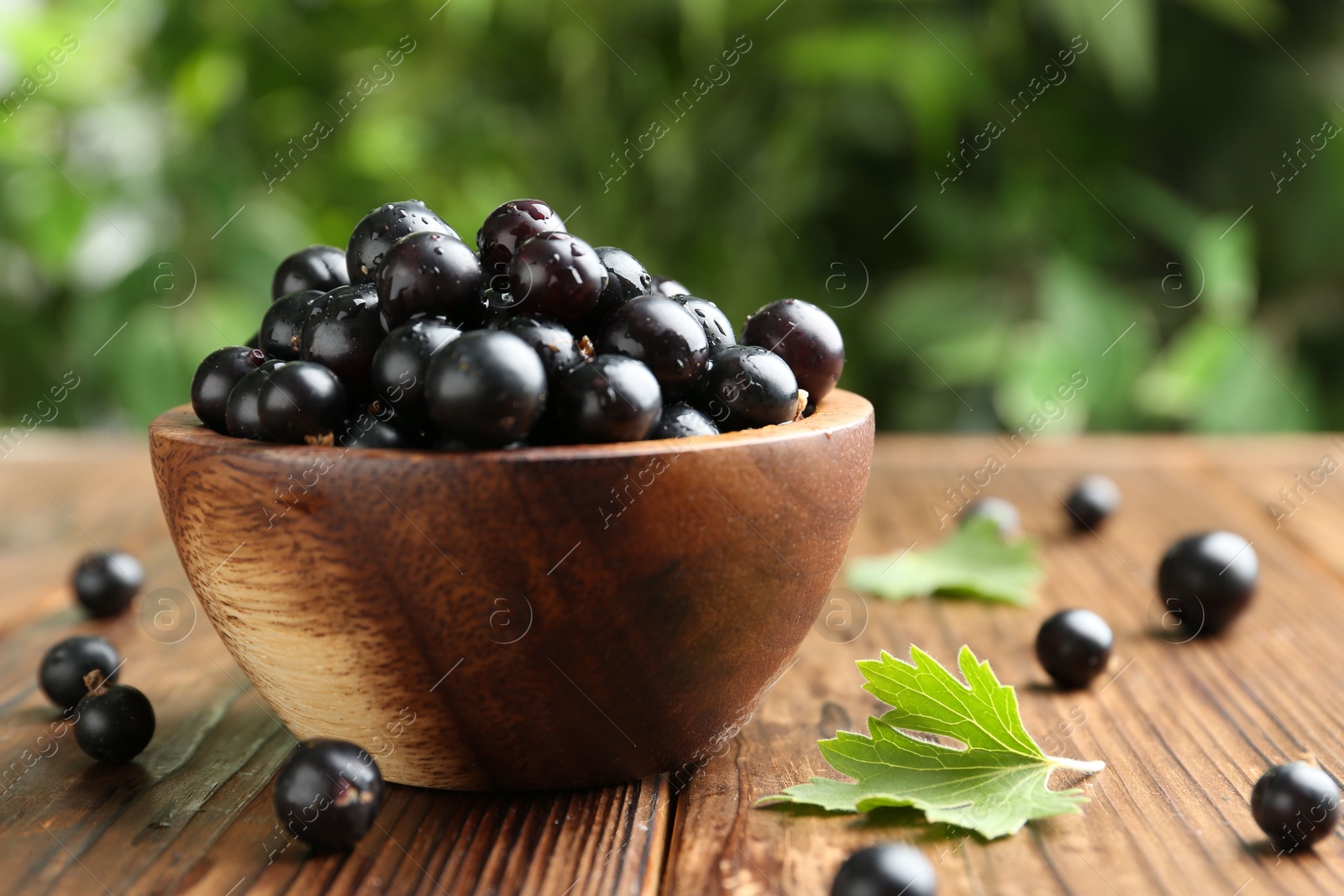 Photo of Ripe black currants and leaves in bowl on wooden table, closeup. Space for text