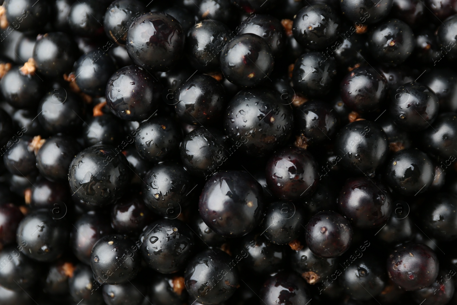 Photo of Ripe black currants as background, top view