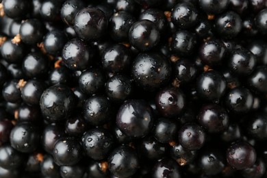 Ripe black currants as background, top view