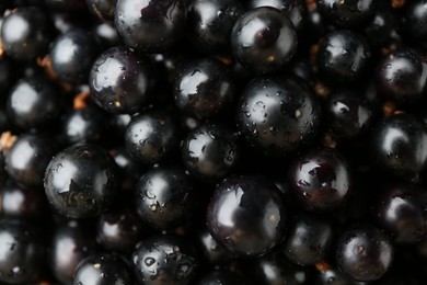 Photo of Ripe black currants as background, top view