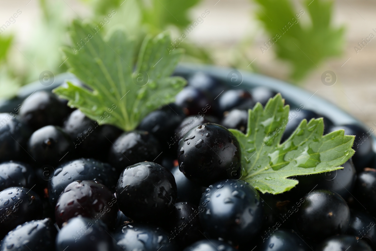 Photo of Ripe blackcurrants in bowl and green leaves on wooden table, closeup