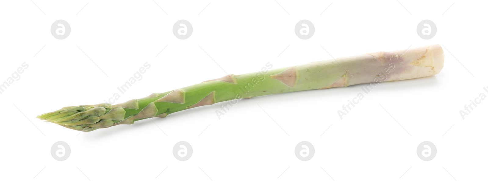 Photo of Fresh green asparagus stem isolated on white