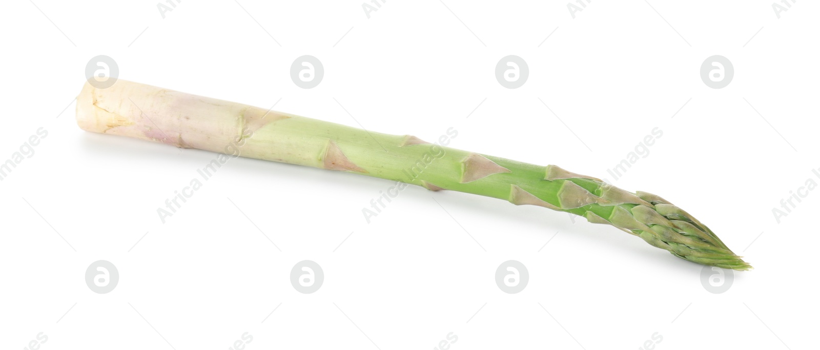 Photo of Fresh green asparagus stem isolated on white