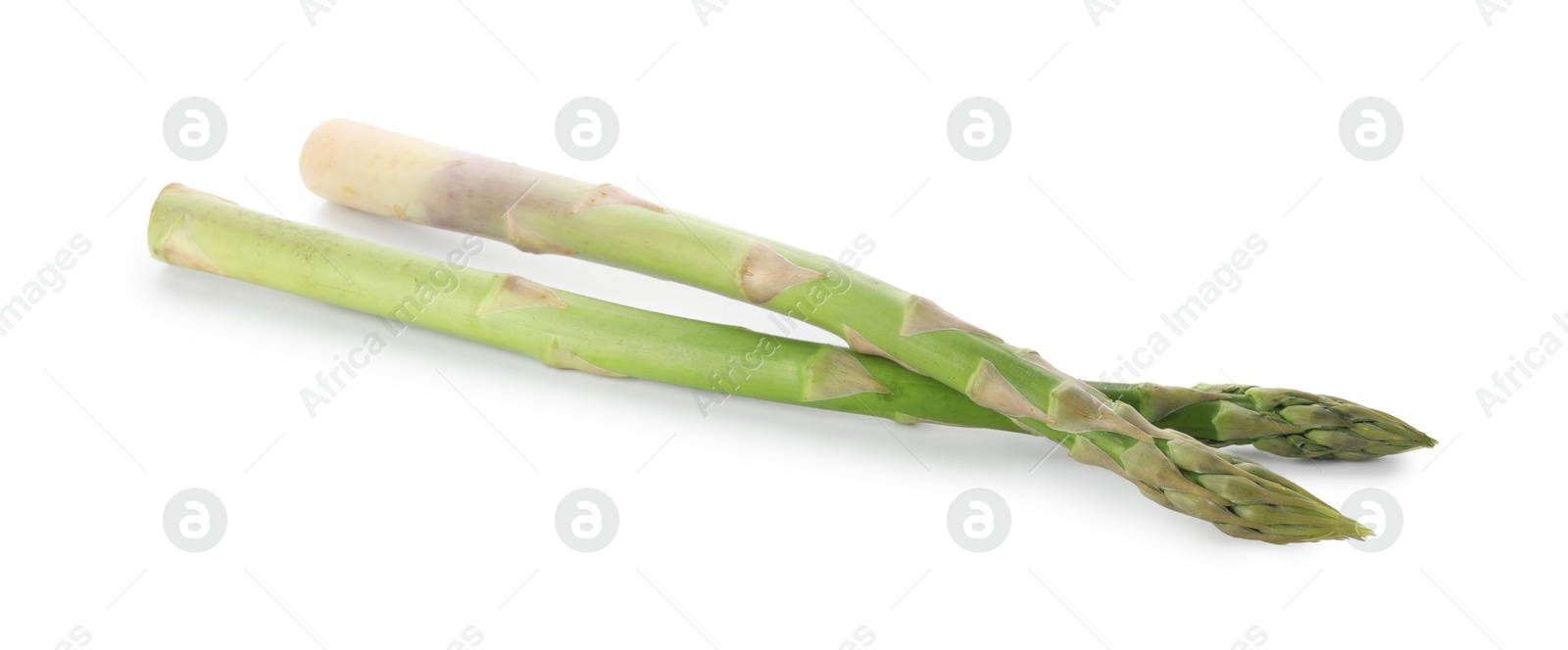 Photo of Fresh green asparagus stems isolated on white