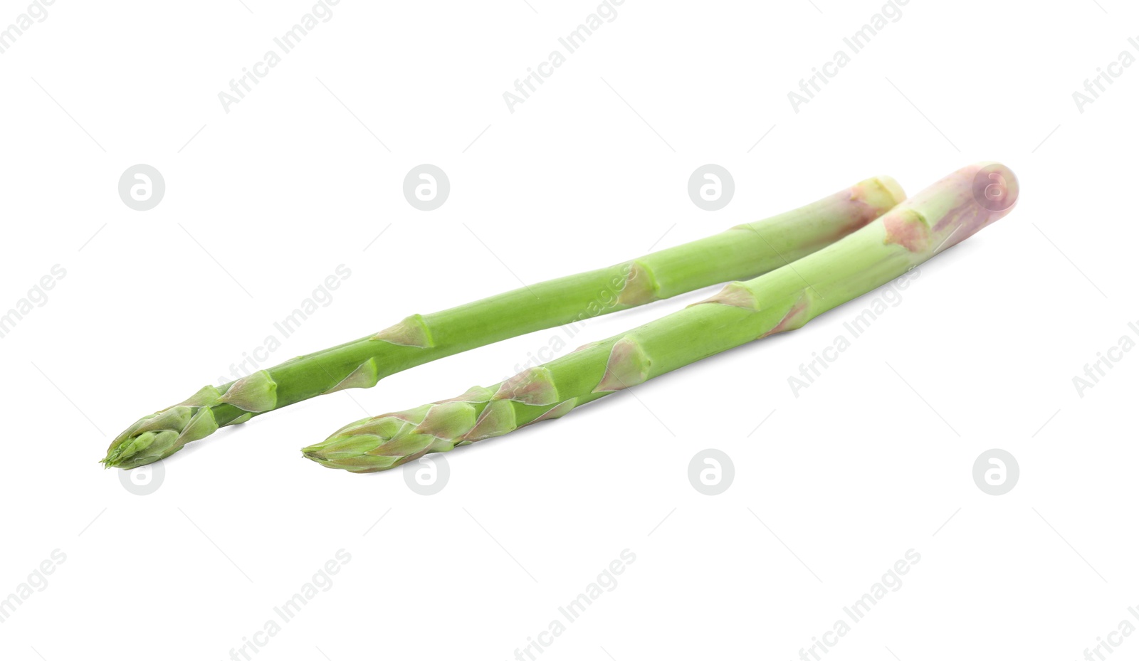 Photo of Fresh green asparagus stems isolated on white