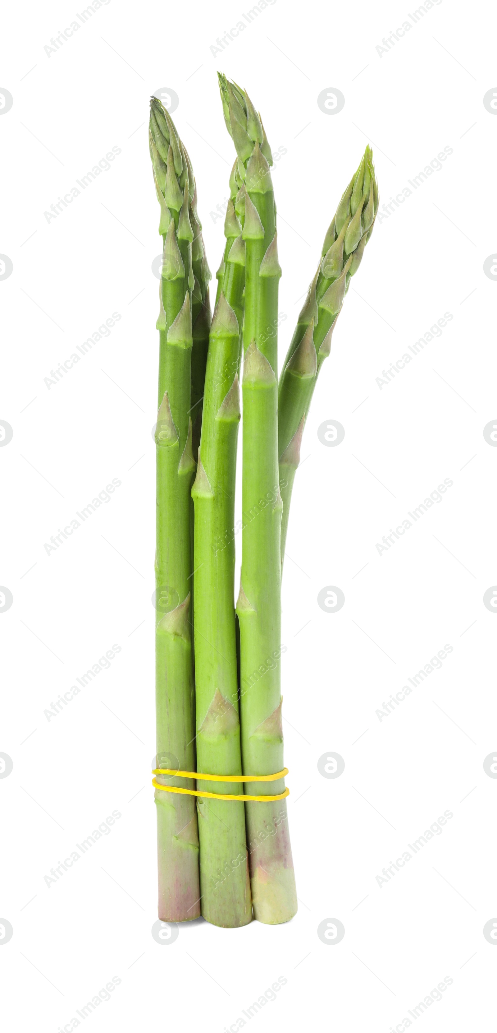 Photo of Bunch of fresh green asparagus stems isolated on white