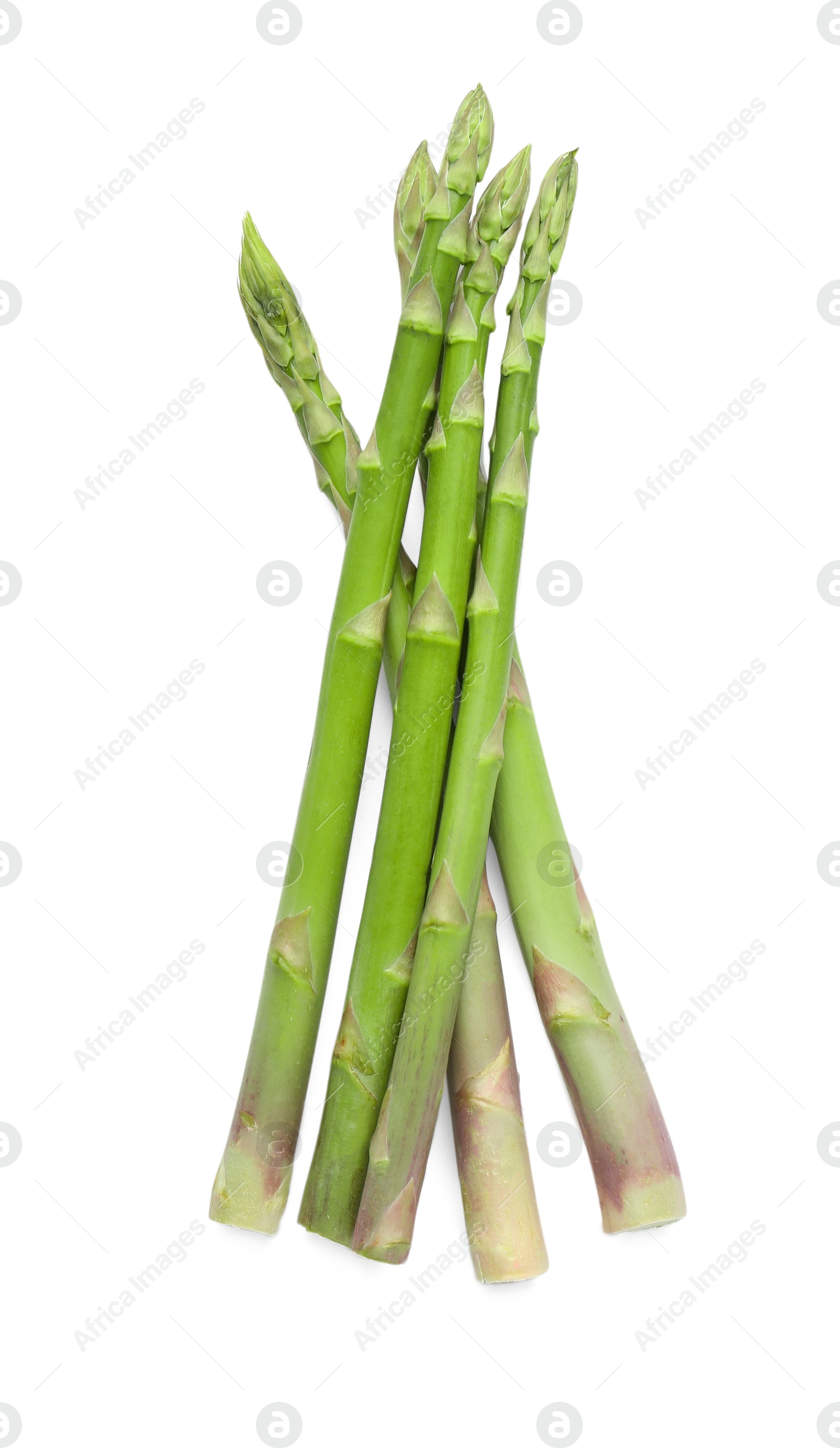 Photo of Fresh green asparagus stems isolated on white