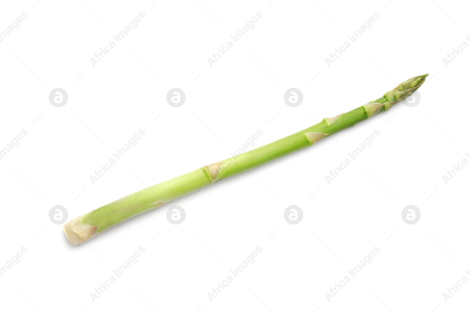 Photo of One fresh green asparagus stem isolated on white, top view