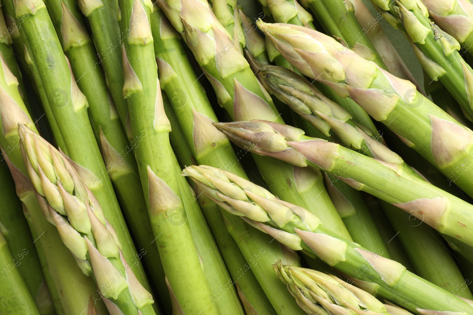 Photo of Fresh green asparagus stems as background, top view