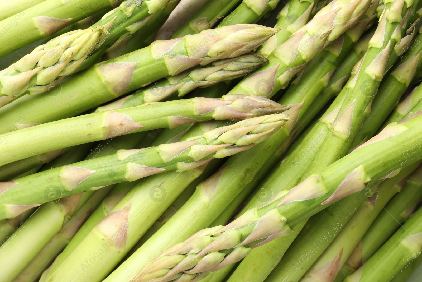 Photo of Fresh green asparagus stems as background, top view