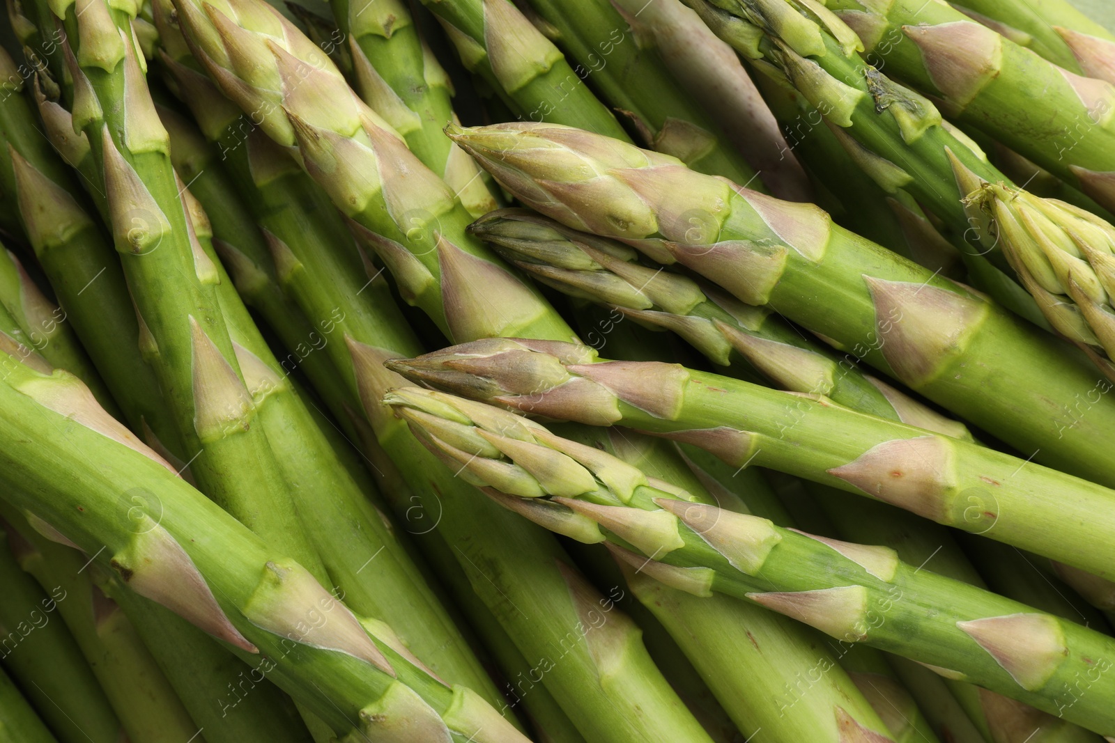 Photo of Fresh green asparagus stems as background, top view