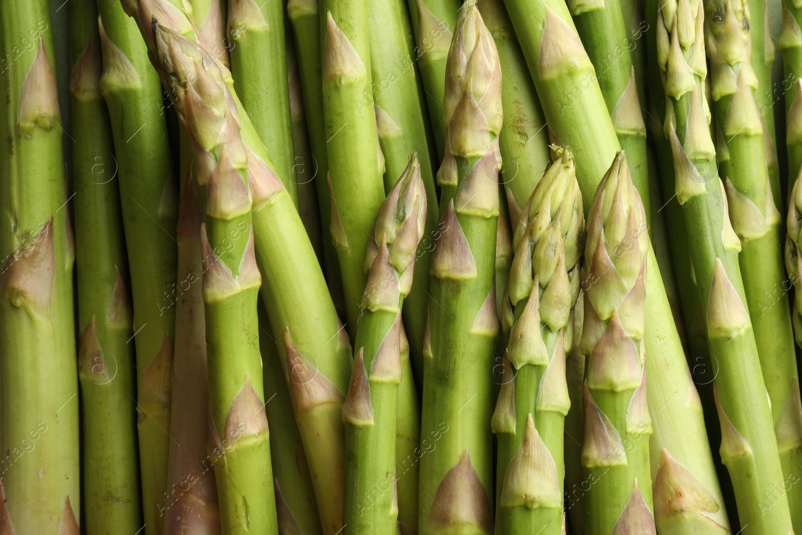 Photo of Fresh green asparagus stems as background, top view