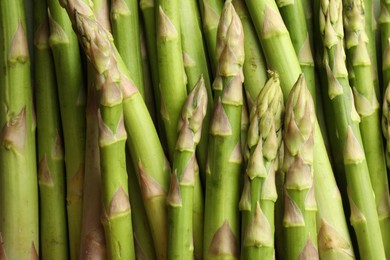 Photo of Fresh green asparagus stems as background, top view