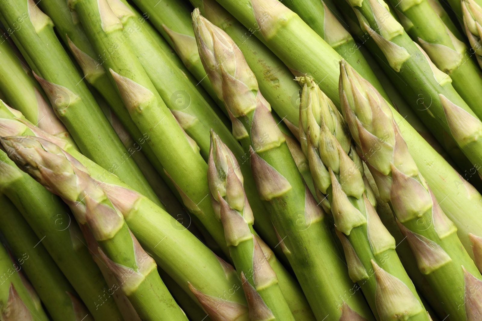 Photo of Fresh green asparagus stems as background, top view