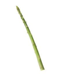 Photo of One fresh green asparagus stem isolated on white