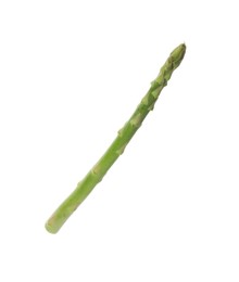 Photo of One fresh green asparagus stem isolated on white