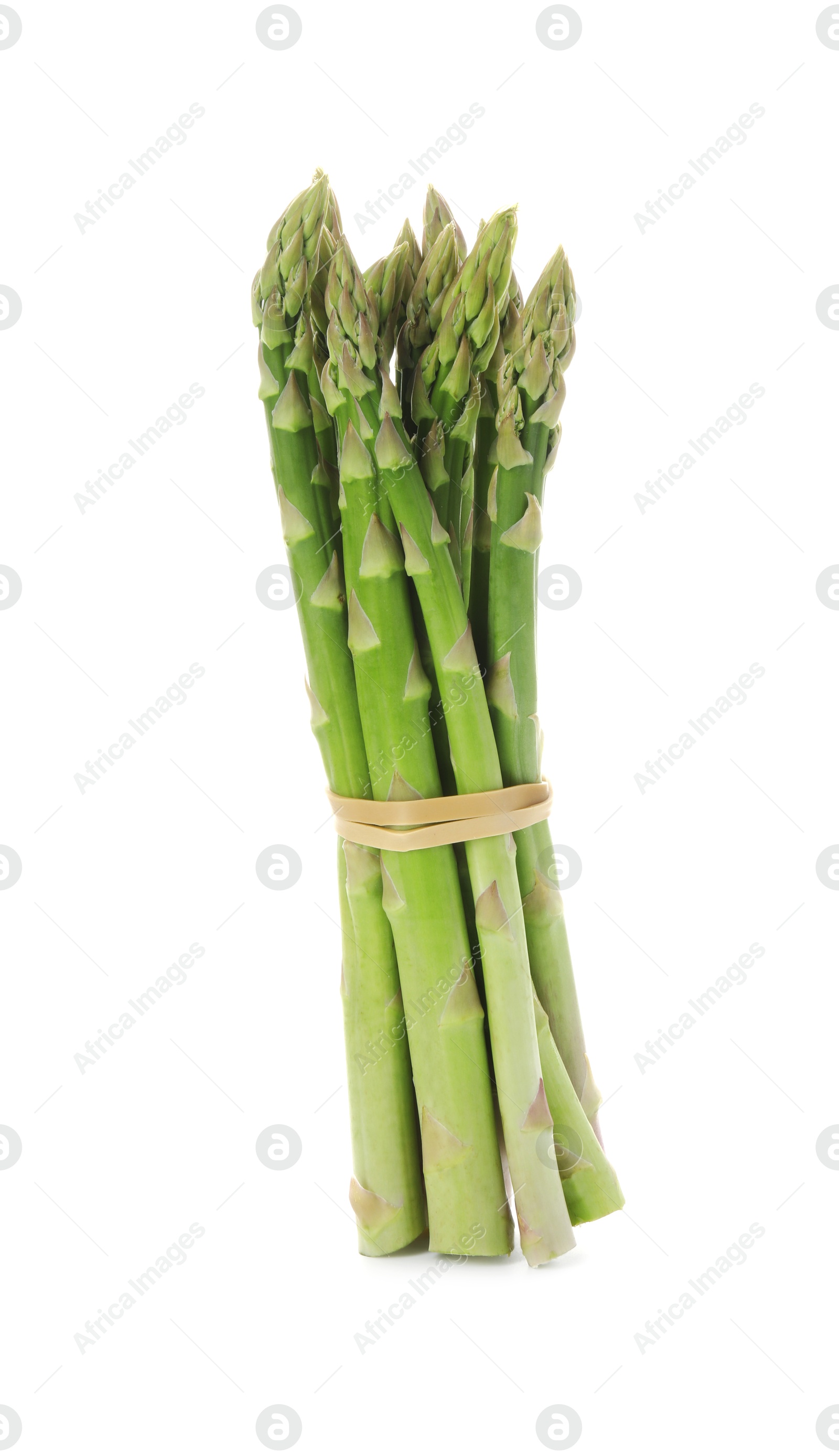 Photo of Many fresh green asparagus stems isolated on white