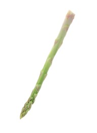 Photo of One fresh green asparagus stem isolated on white