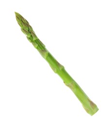 Photo of One fresh green asparagus stem isolated on white