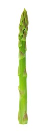 One fresh green asparagus stem isolated on white