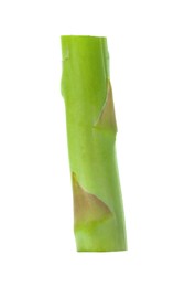 Photo of Piece of fresh green asparagus isolated on white