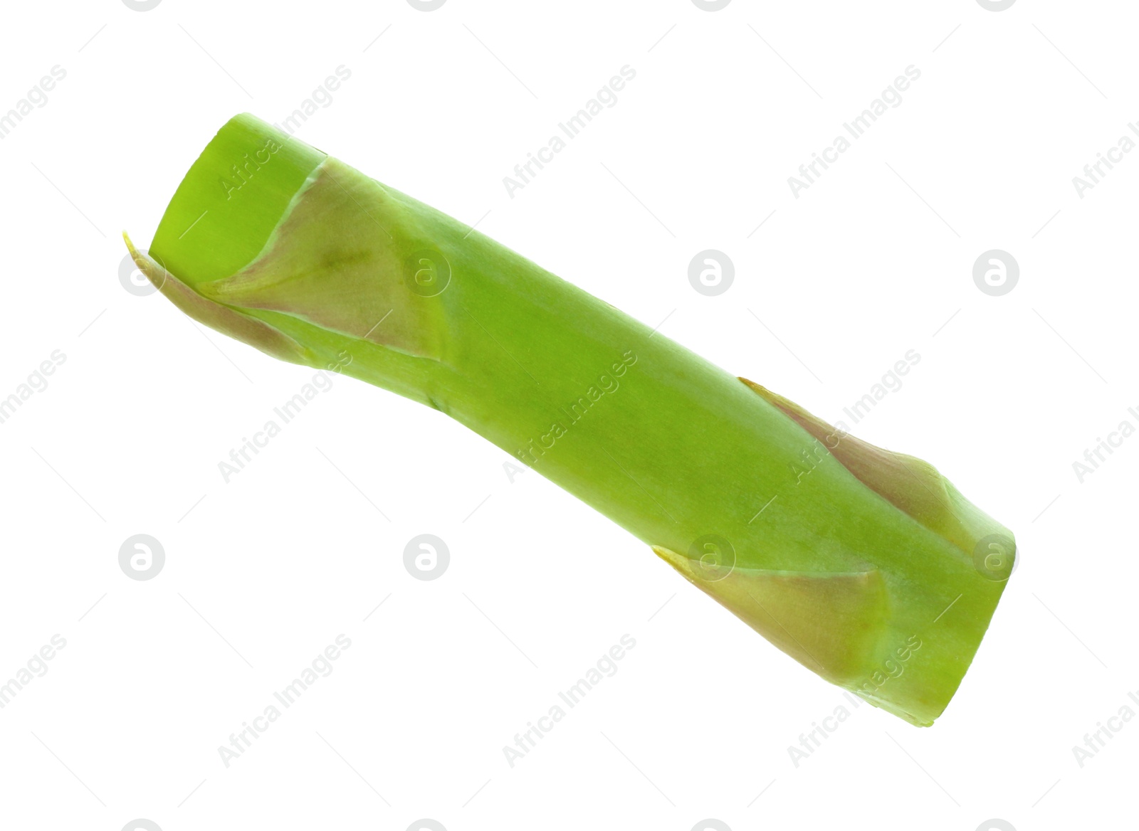 Photo of Piece of fresh green asparagus isolated on white