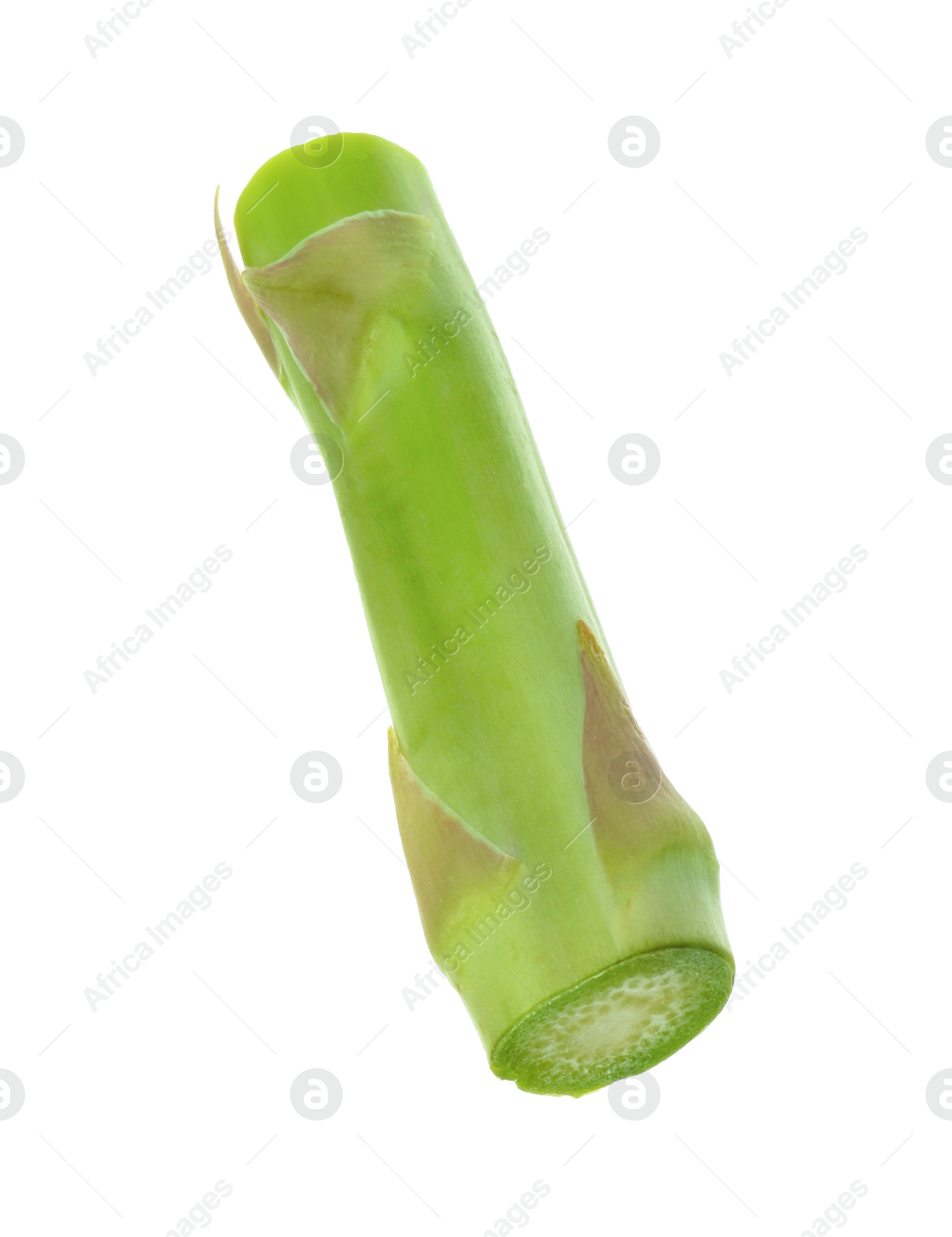 Photo of Piece of fresh green asparagus isolated on white