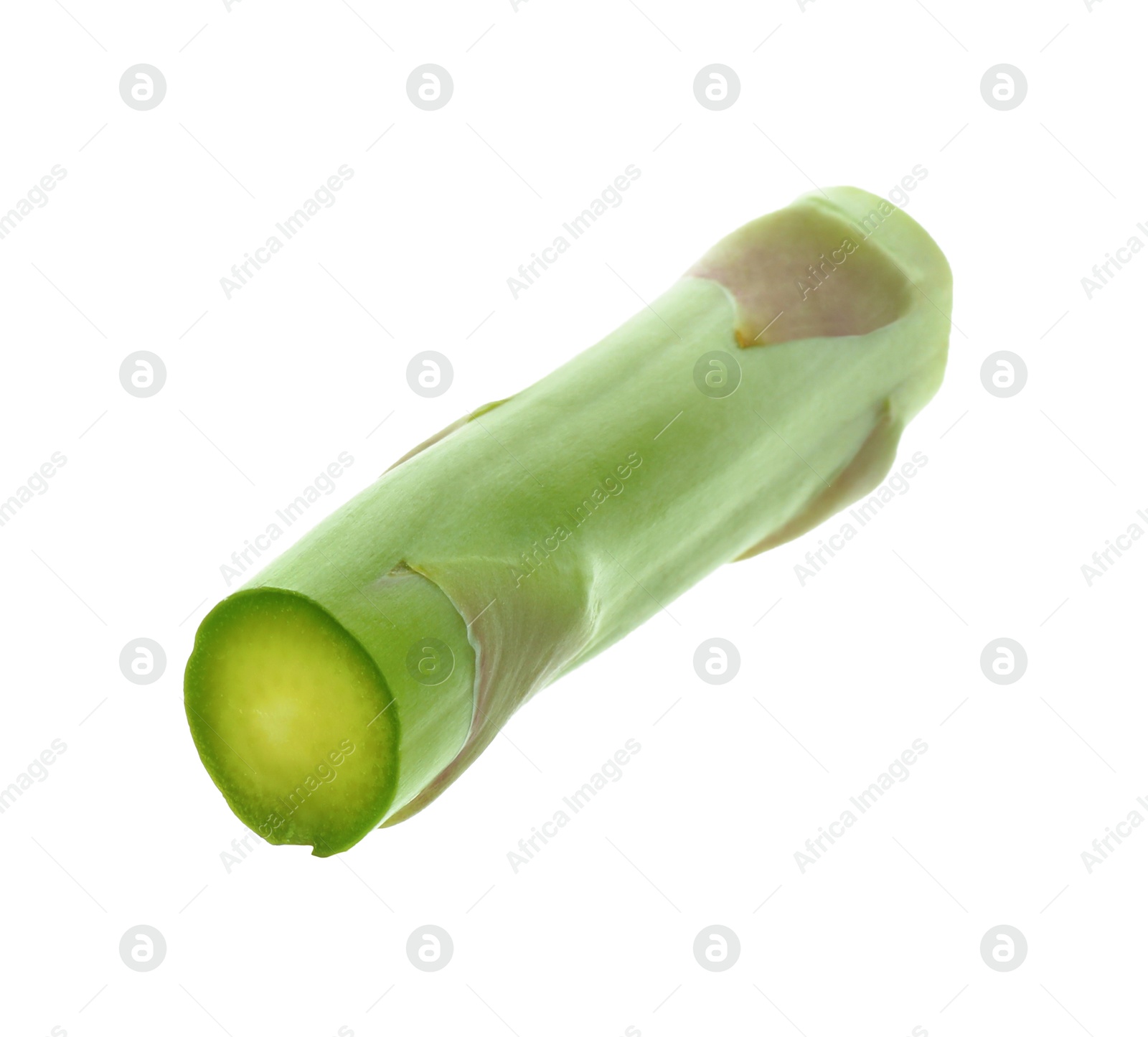 Photo of Piece of fresh green asparagus isolated on white