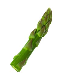 One fresh green asparagus stem isolated on white