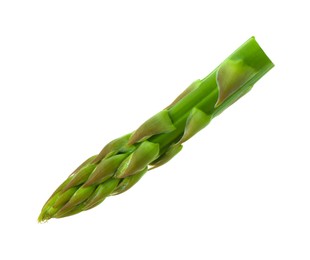 Photo of One fresh green asparagus stem isolated on white