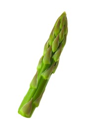 Photo of One fresh green asparagus stem isolated on white