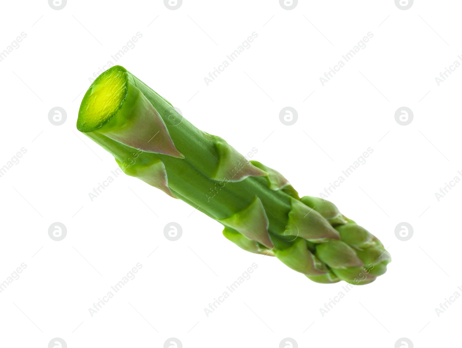 Photo of One fresh green asparagus stem isolated on white