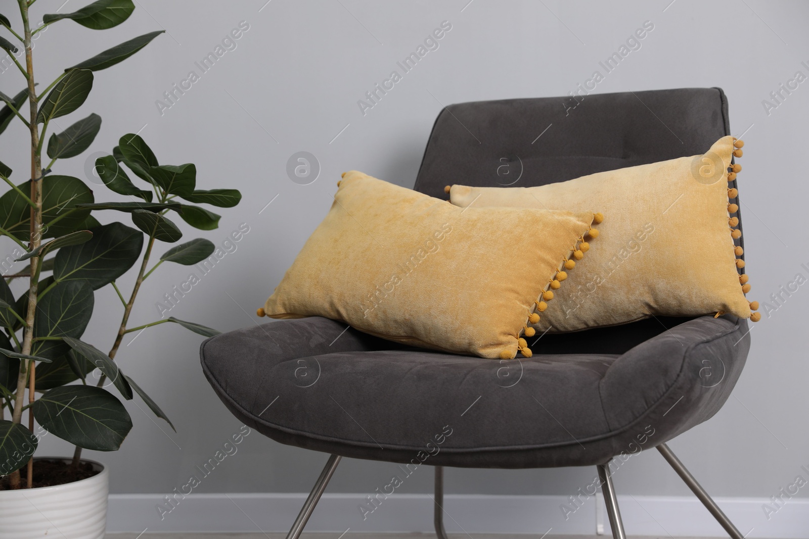 Photo of Soft pillows on armchair near houseplant indoors