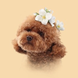 Image of Portrait of cute dog with flowers on beige background