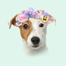 Image of Dog portrait. Jack Russell terrier with flower wreath on light blue background
