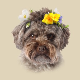 Image of Dog portrait. Cute Maltipoo with flowers on beige background